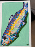 Green Sardine Original