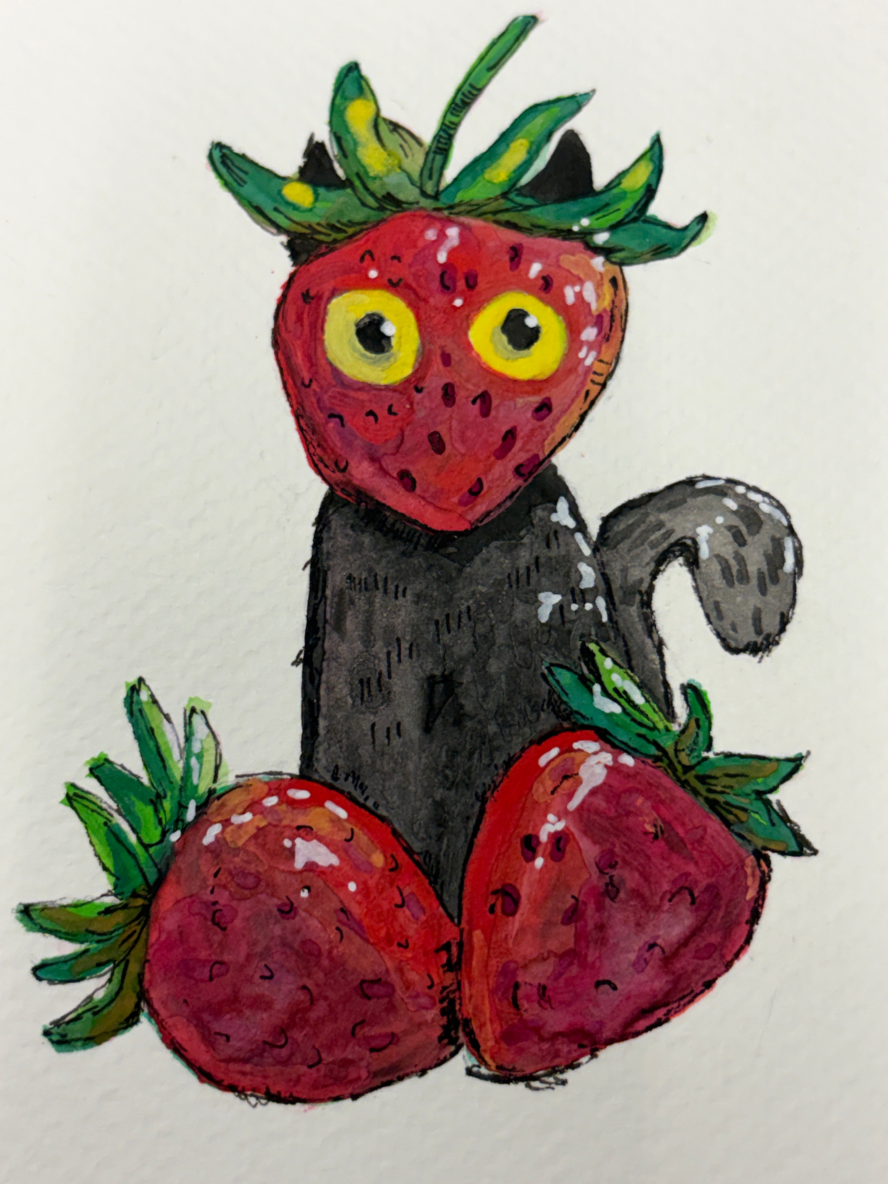 Strawberry Cat