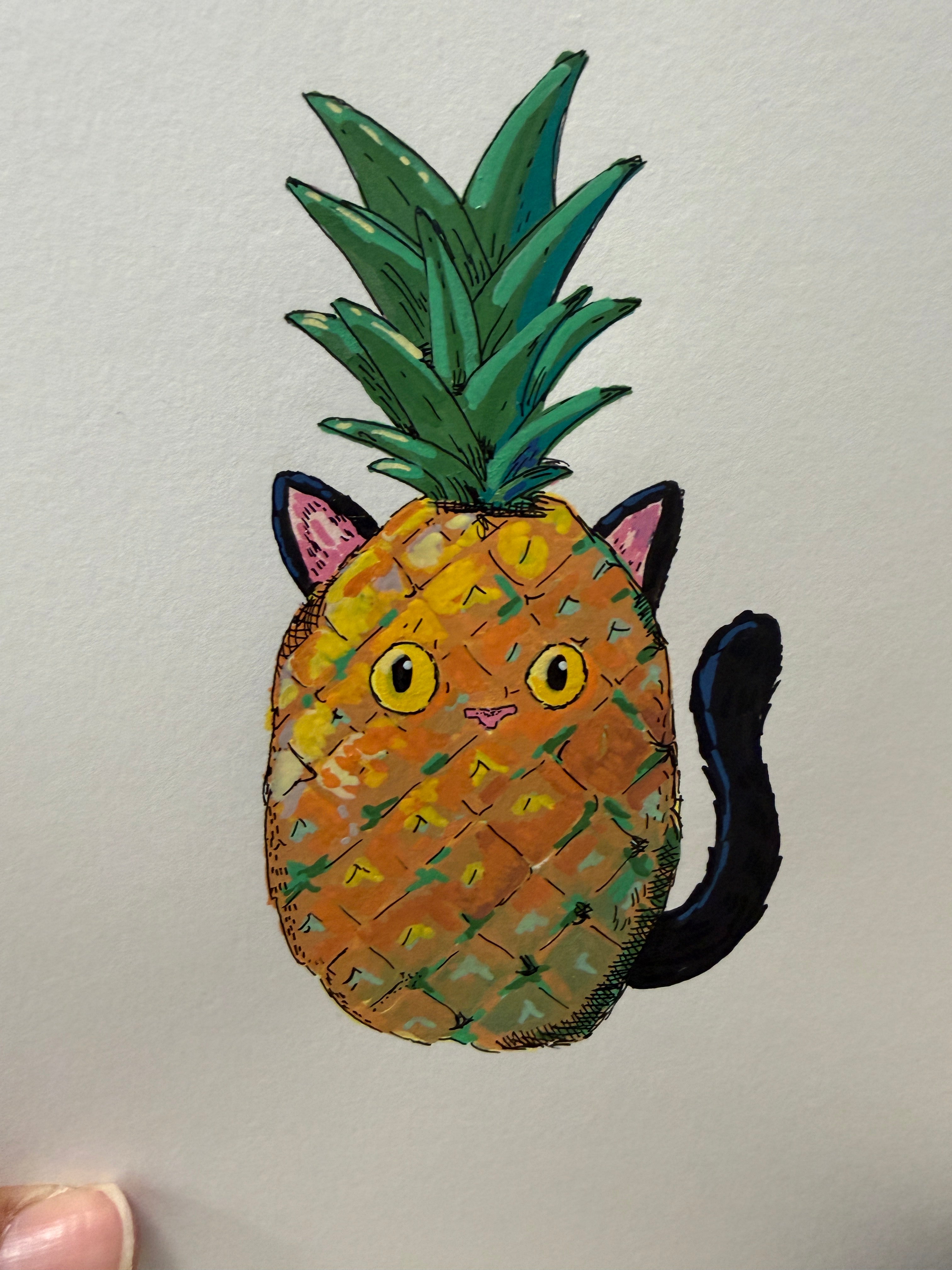 Pineapple Cat
